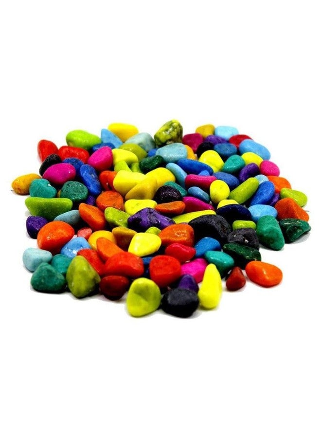 Somil Multicolor Pebbles/Stones for Garden, Plants, Lawns, Aquariums, Fish Pots, Home Decor, Vases, Furniture Filler. Size: 10-30mm, Shiny Multicolor -A311 - Image 1